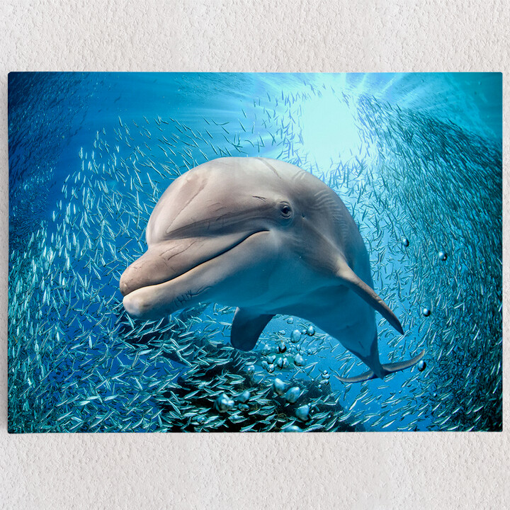 Personalisiertes Leinwandbild Delfin im Meer