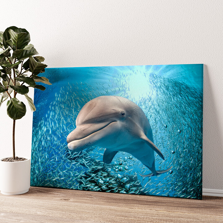 Leinwandbild personalisiert Delfin im Meer