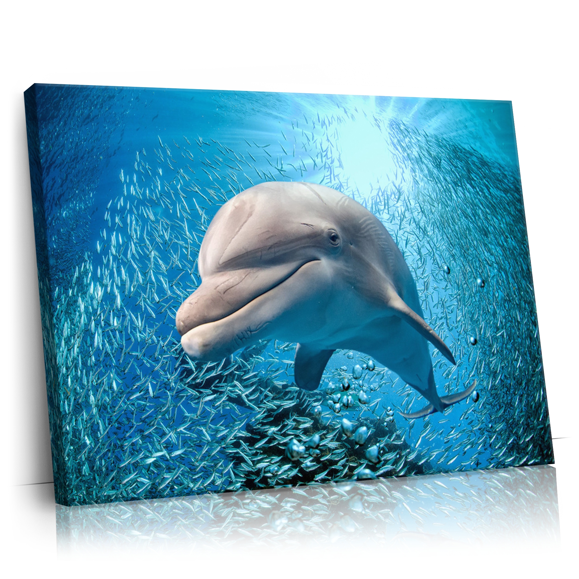 Personalisierbares Geschenk Delfin im Meer