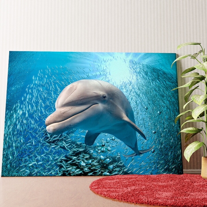 Delfin im Meer Wandbild personalisiert