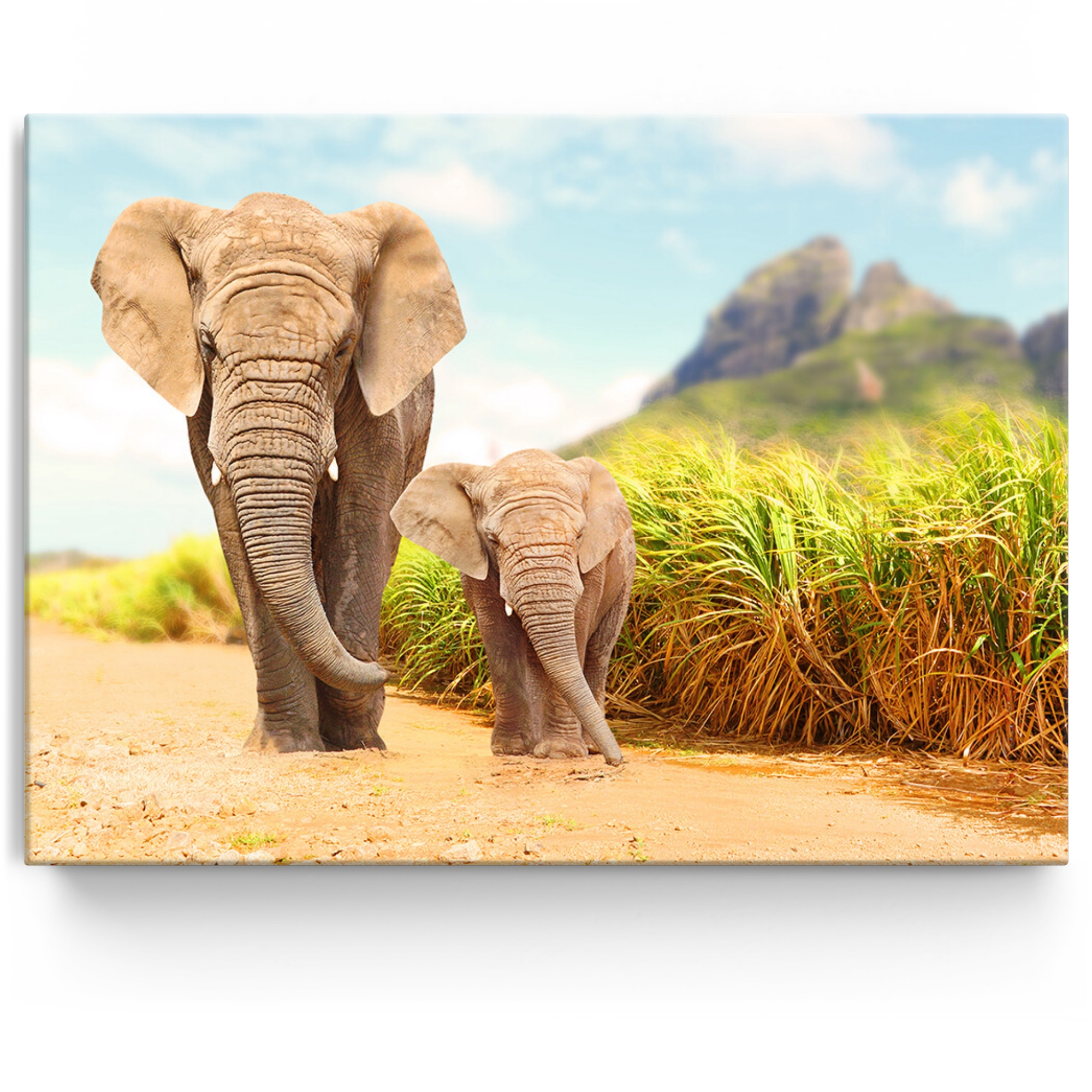Personalisiertes Leinwandbild Elefanten in Afrika