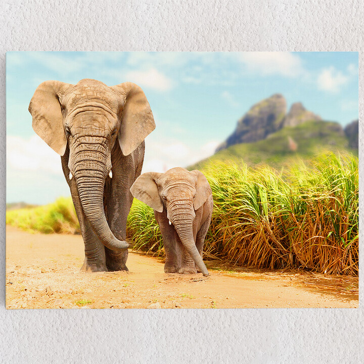 Personalisiertes Leinwandbild Elefanten in Afrika