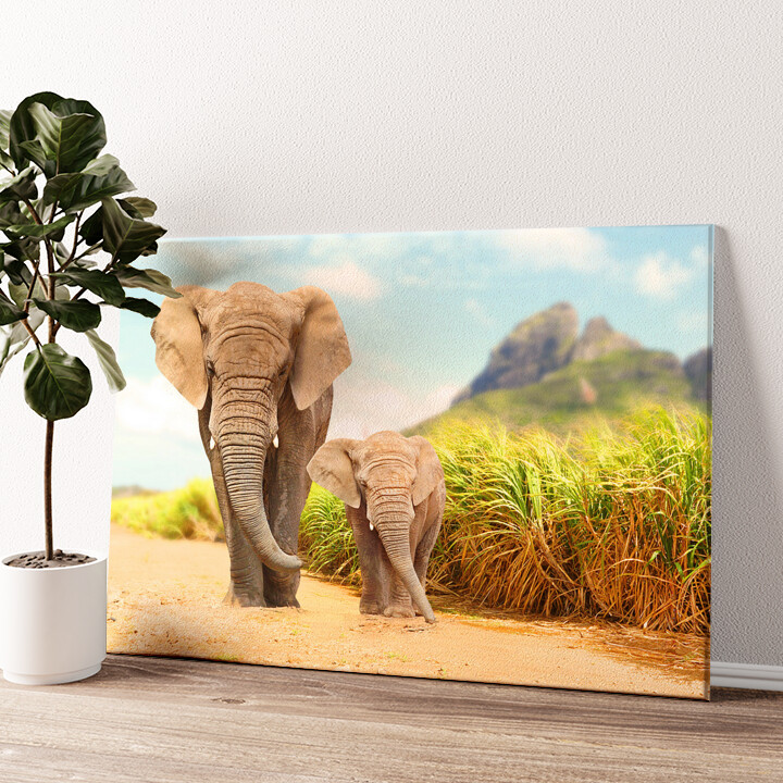 Leinwandbild personalisiert Elefanten in Afrika