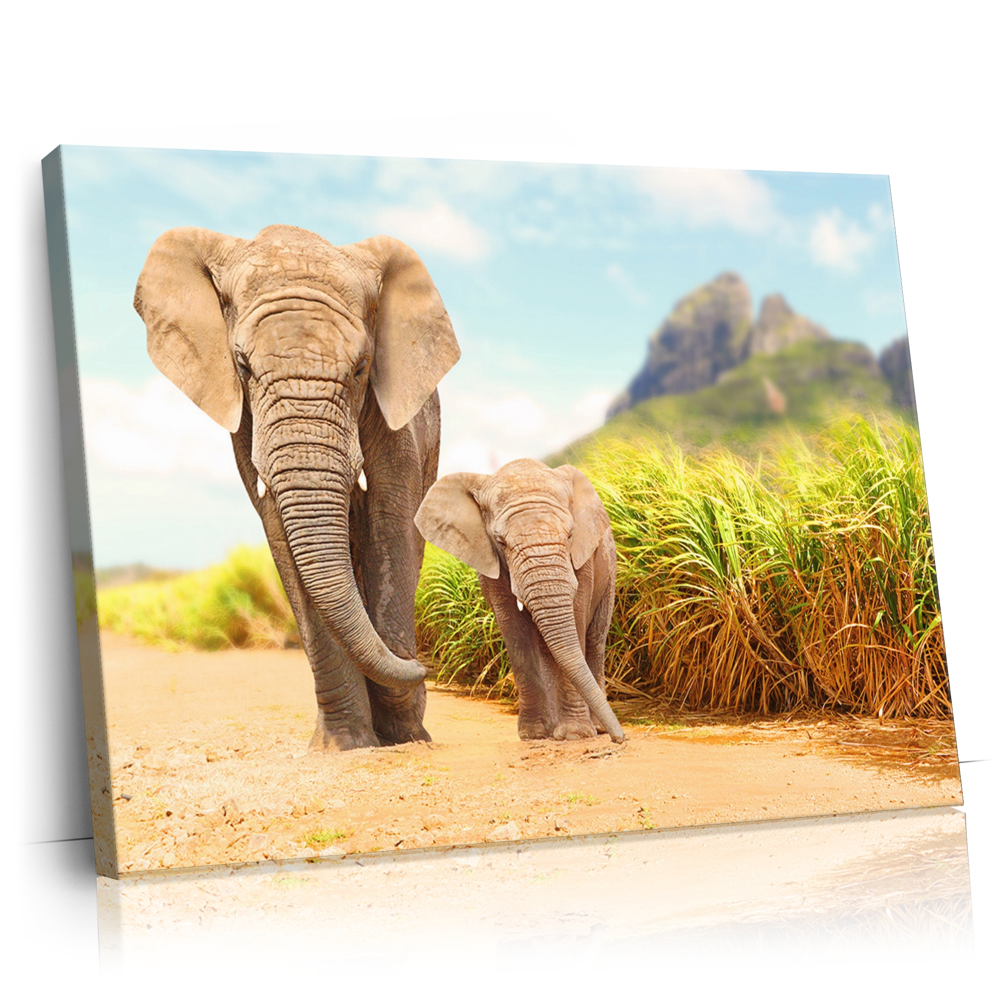 Personalisierbares Geschenk Elefanten in Afrika