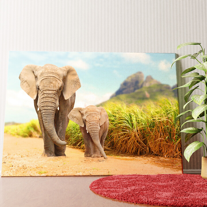 Elefanten in Afrika Wandbild personalisiert