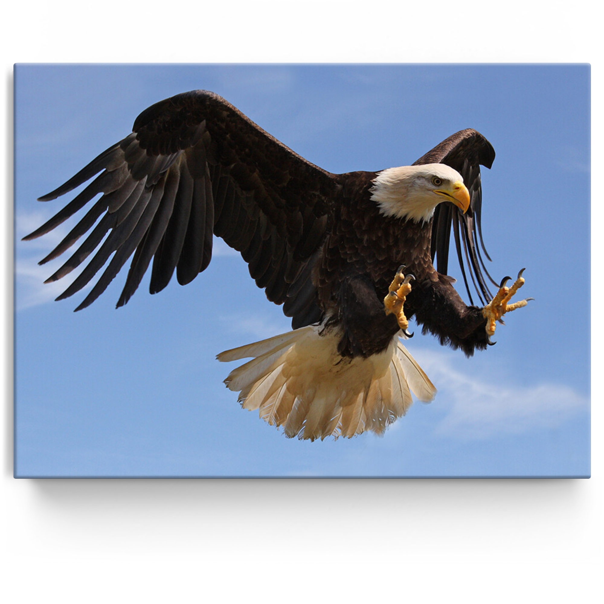 Personalisiertes Leinwandbild Adler