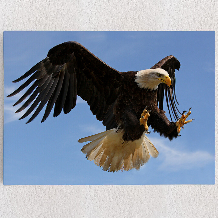 Personalisiertes Leinwandbild Adler