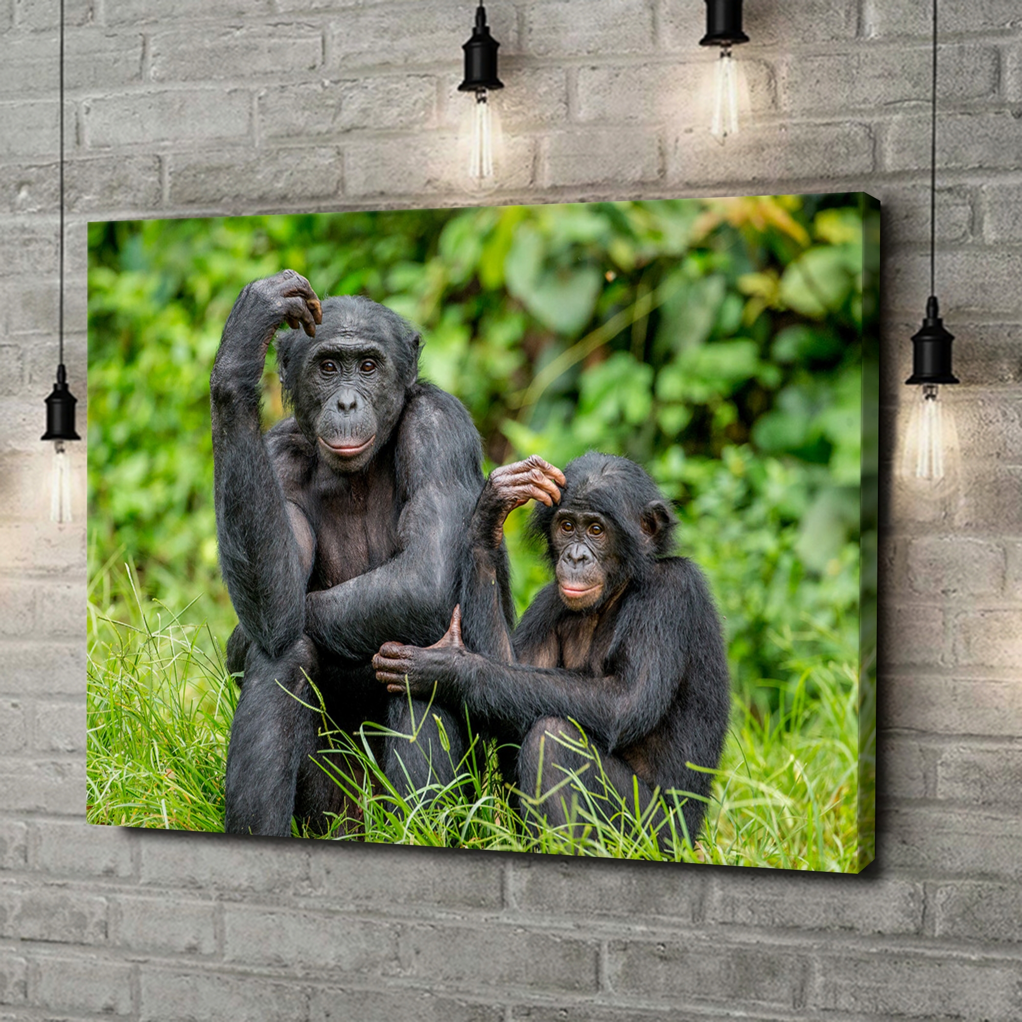 Liebesleinwand als Geschenk Bonobo im Kongo