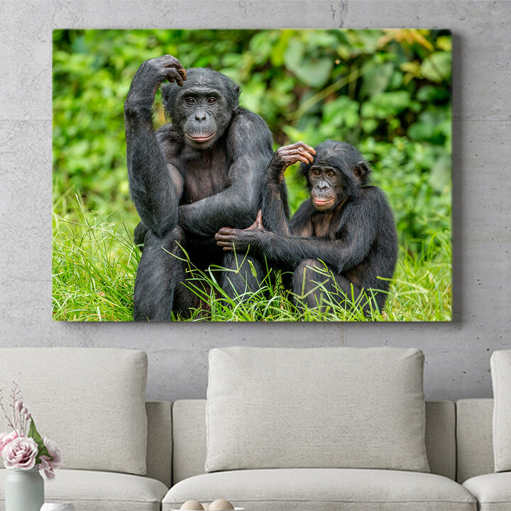Personalisiertes Wandbild Bonobo im Kongo
