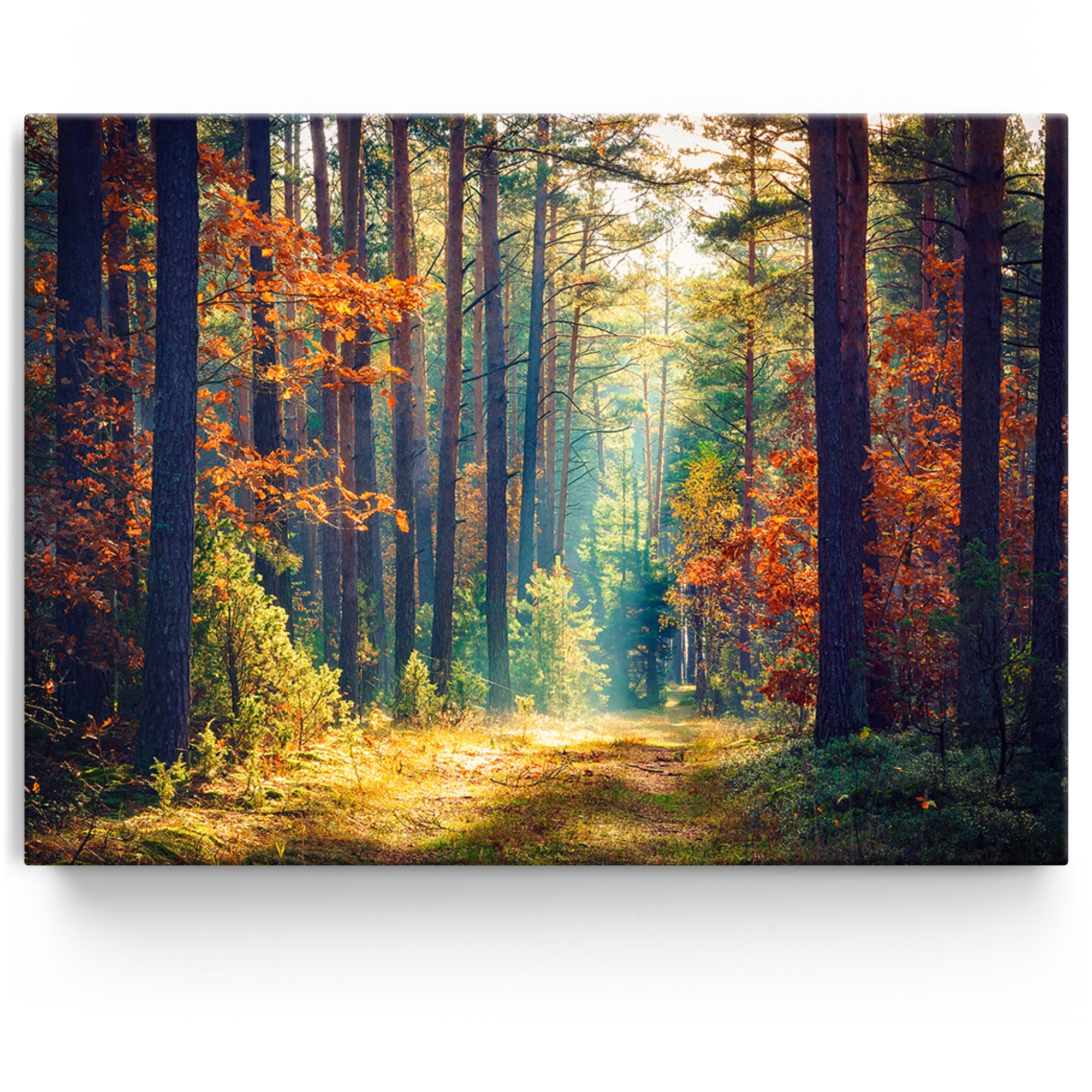 Personalisiertes Leinwandbild Herbstwald