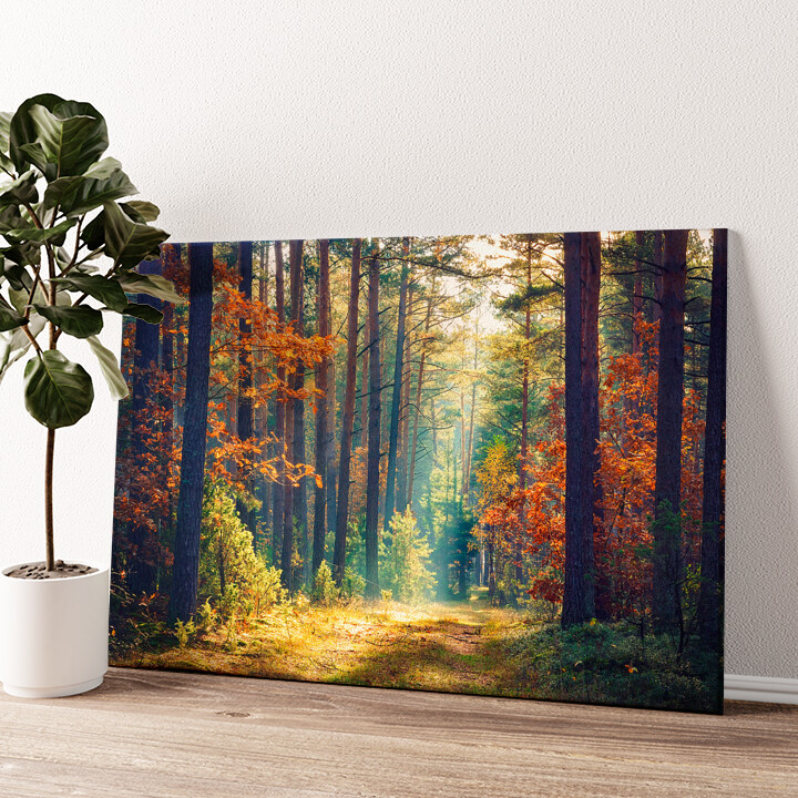 Leinwandbild personalisiert Herbstwald