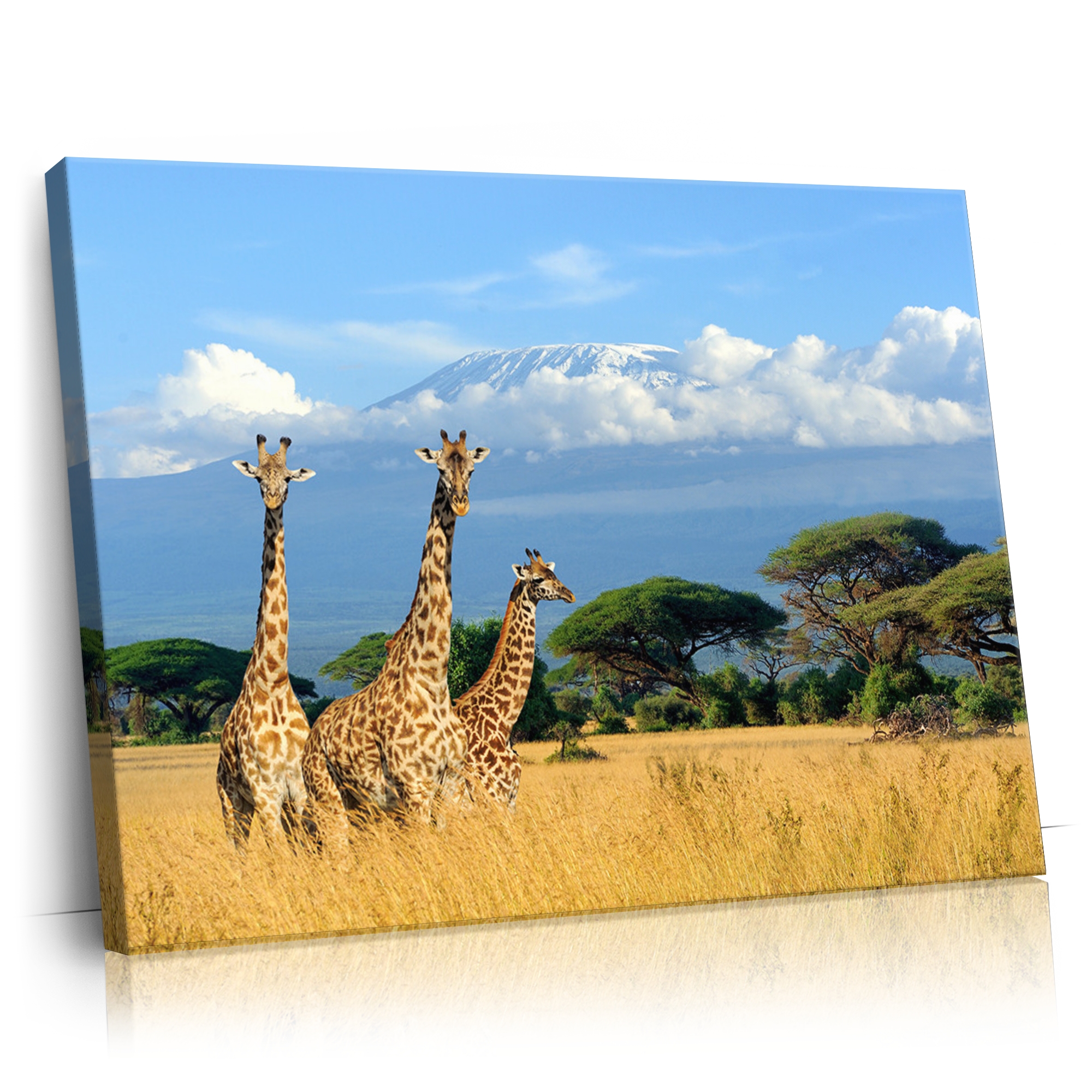 Personalisierbares Geschenk Giraffen vorm Kilimandscharo