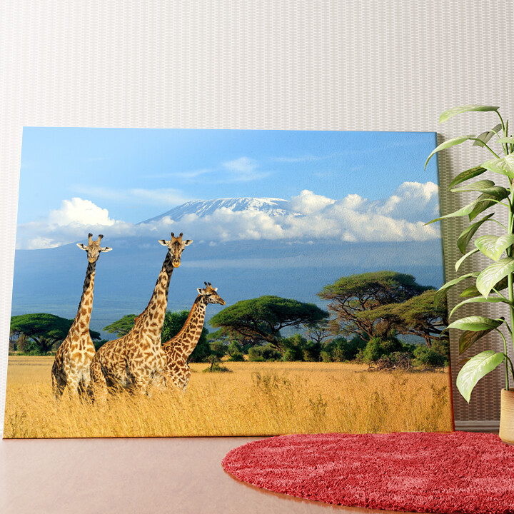 Giraffen vorm Kilimandscharo Wandbild personalisiert