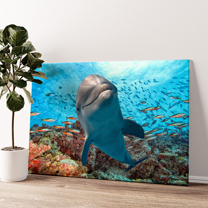 Leinwandbild personalisiert Delfin im Korallenriff