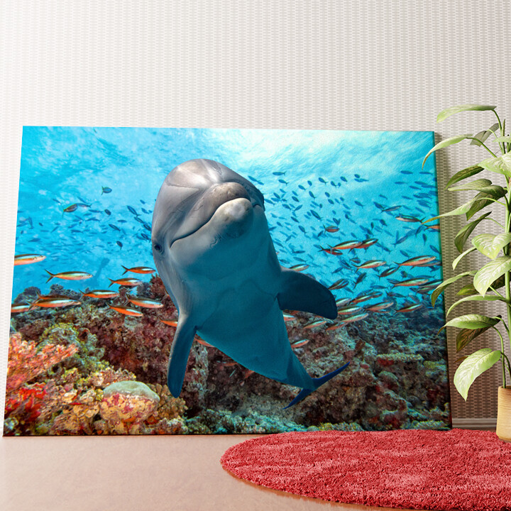 Delfin im Korallenriff Wandbild personalisiert