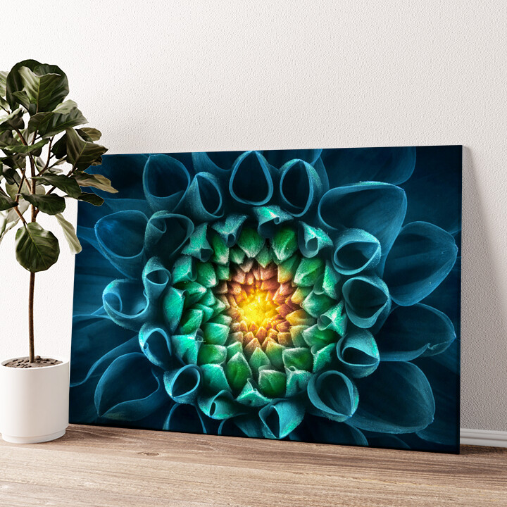 Leinwandbild personalisiert Blaugrüne Chrysantheme