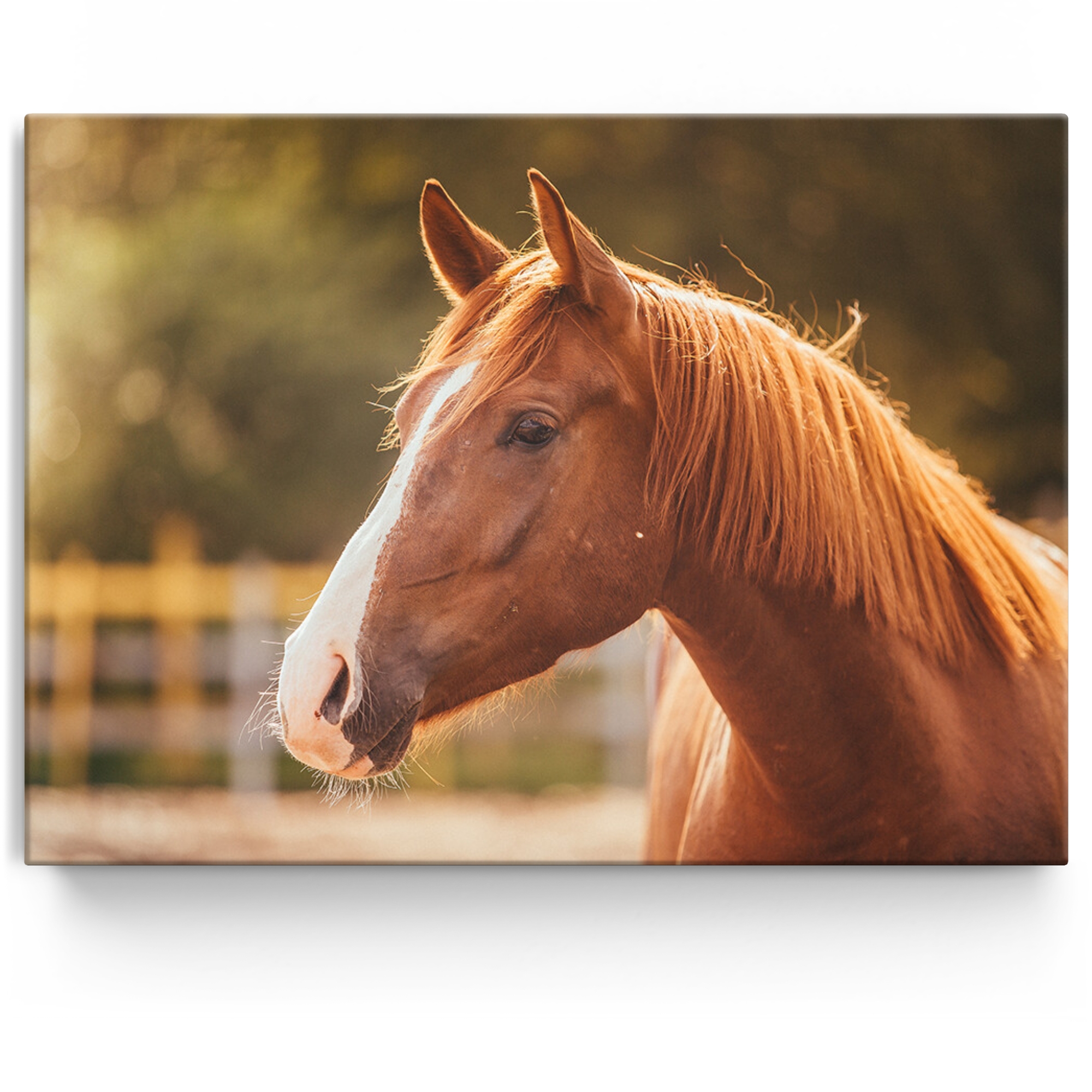 Personalisiertes Leinwandbild Pferd Porträt