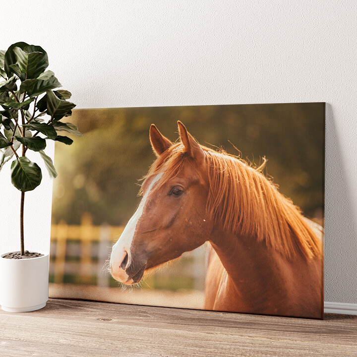 Leinwandbild personalisiert Pferd Porträt