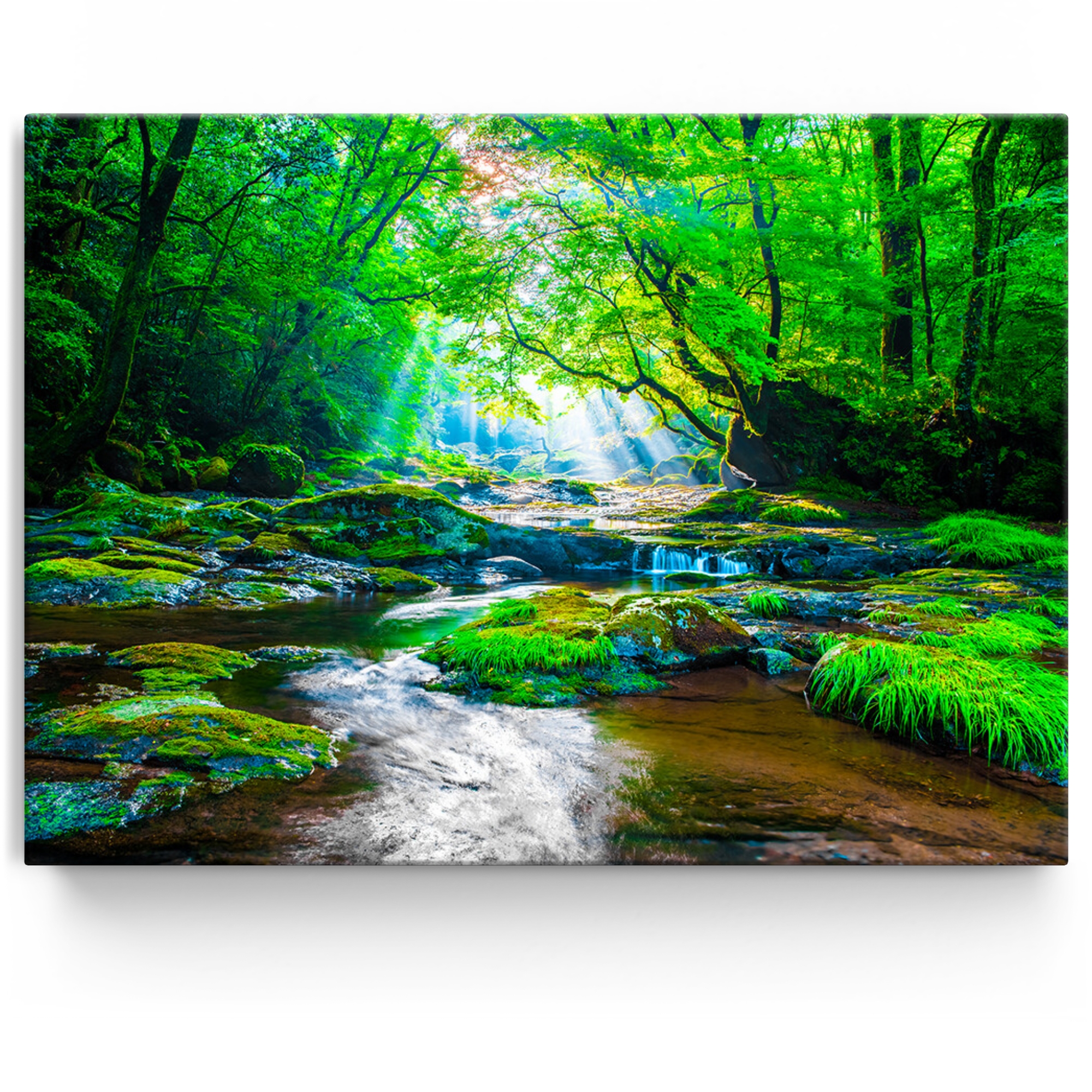 Personalisiertes Leinwandbild Kikuchi Valley Regenwald Japan