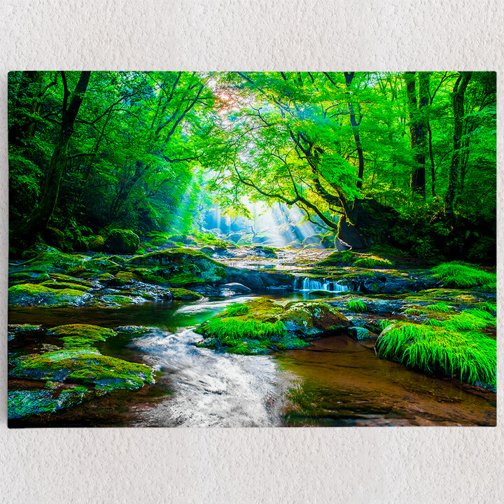 Personalisiertes Leinwandbild Kikuchi Valley Regenwald Japan