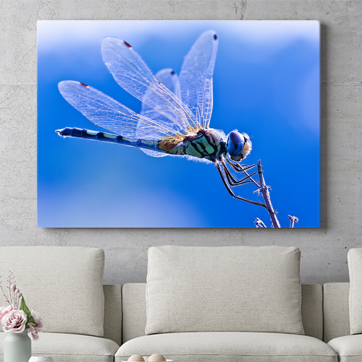 Personalisiertes Wandbild Libelle