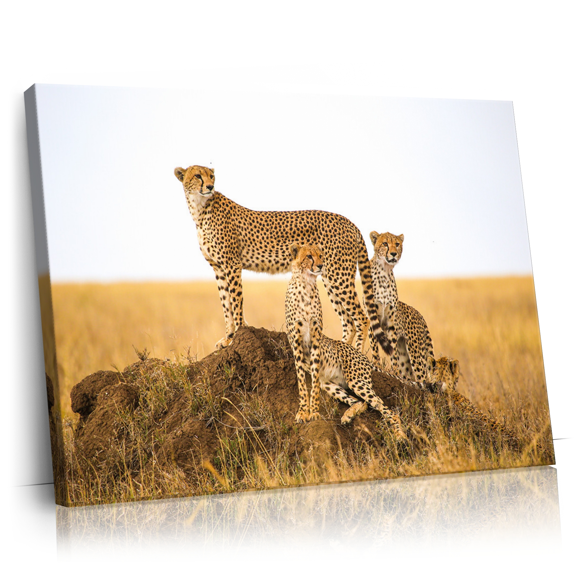 Personalisierbares Geschenk Geparden Serengeti
