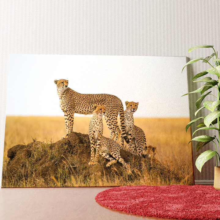 Geparden Serengeti Wandbild personalisiert