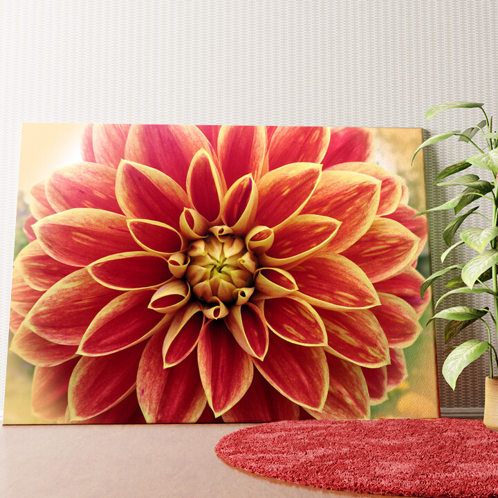 Rote Chrysantheme Wandbild personalisiert