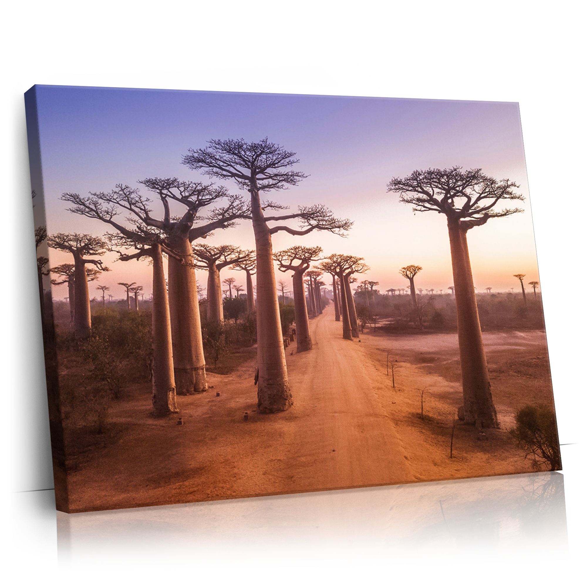 Personalisierbares Geschenk Baobab Bäume Madagaskar
