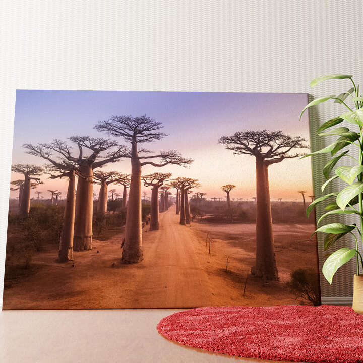 Baobab Bäume Madagaskar Wandbild personalisiert