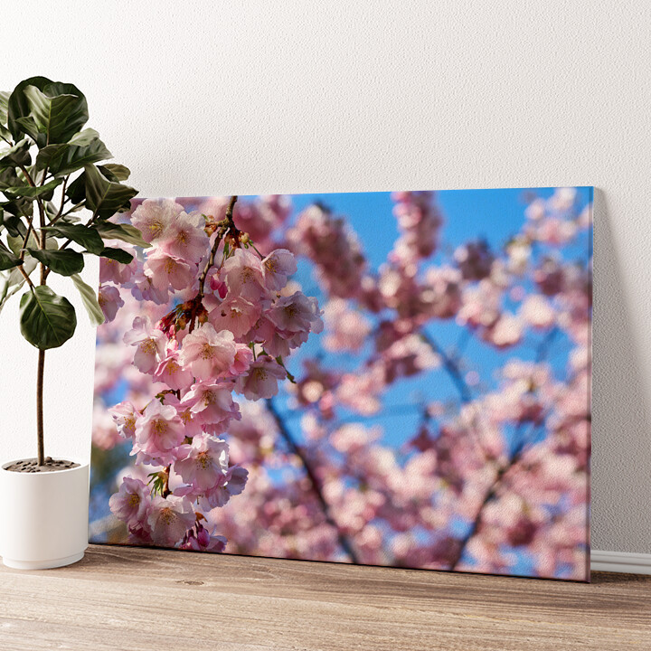 Leinwandbild personalisiert Kirschblüten