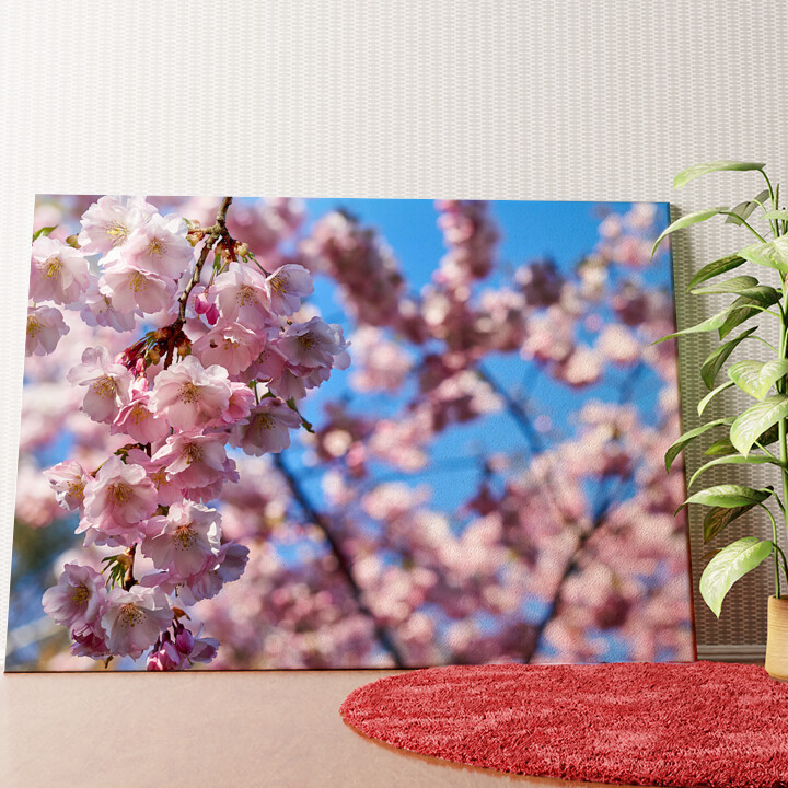 Kirschblüten Wandbild personalisiert