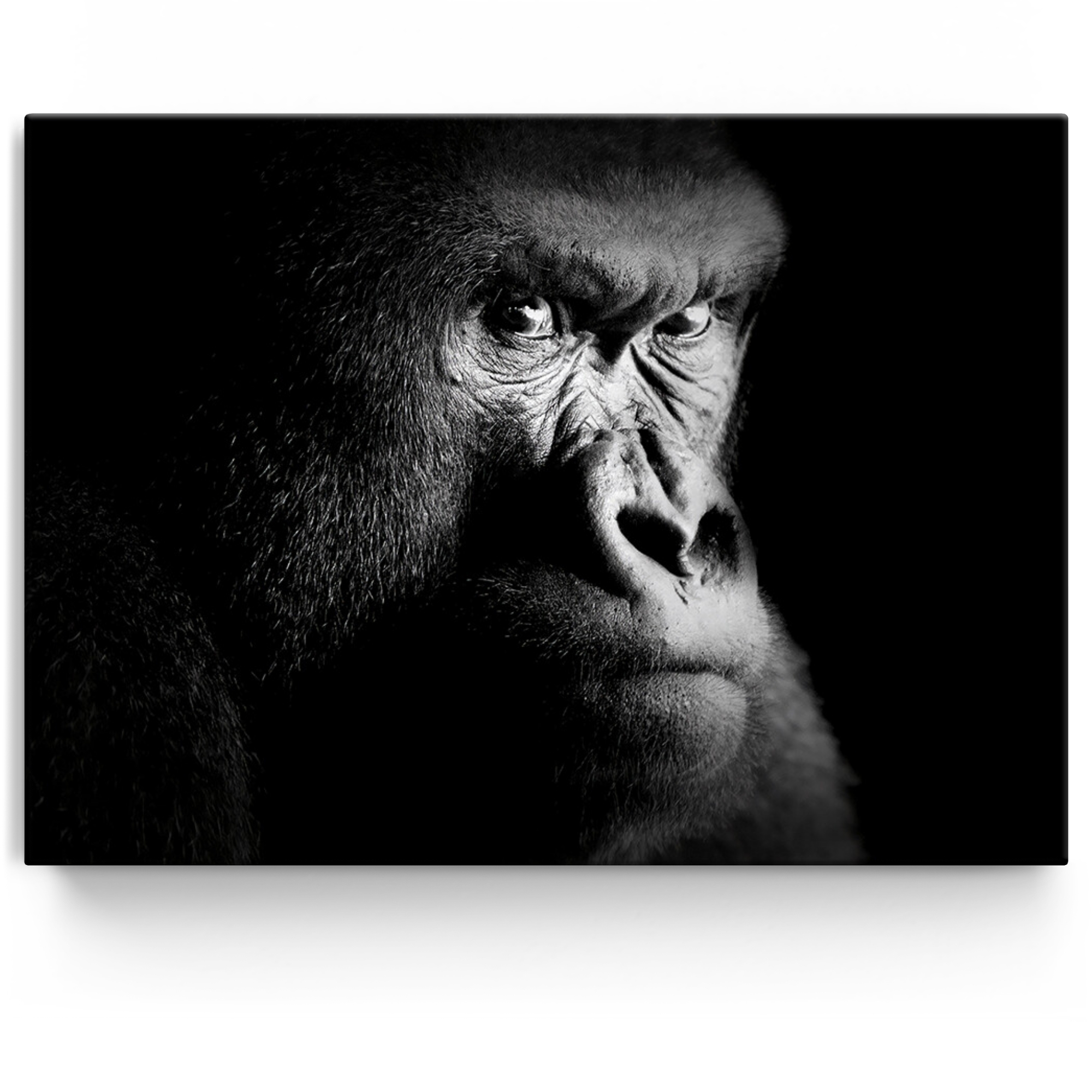 Personalisiertes Leinwandbild Gorilla