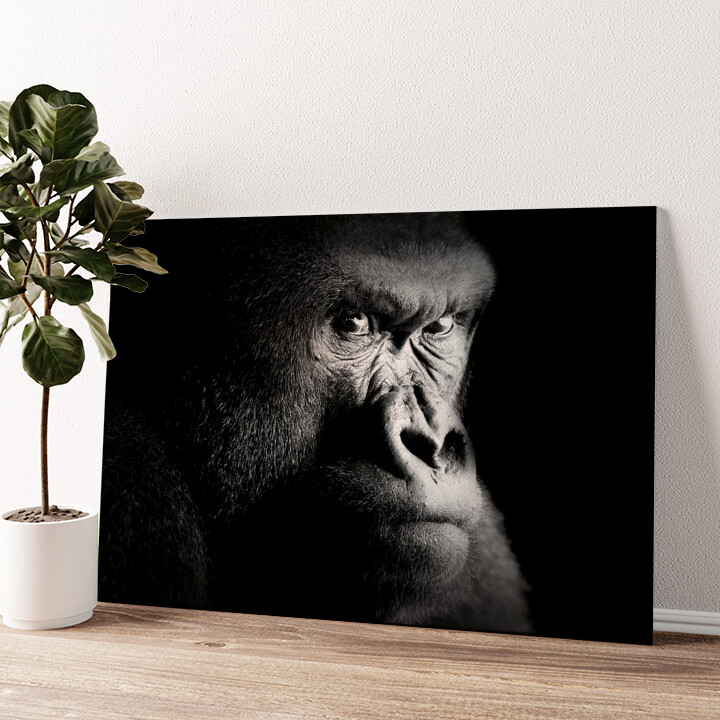 Leinwandbild personalisiert Gorilla