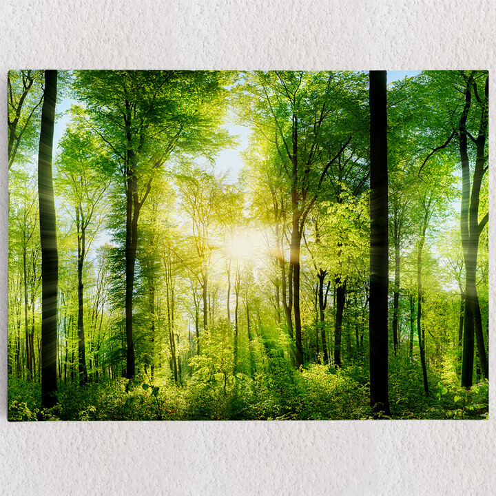 Personalisiertes Leinwandbild Sommerwald