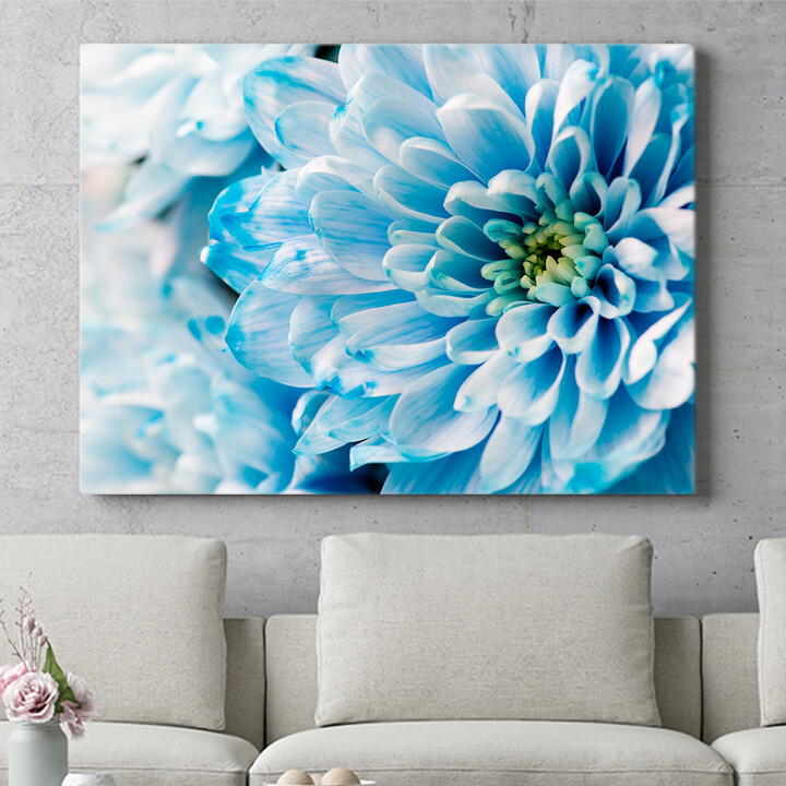 Personalisiertes Wandbild Blaue Chrysantheme