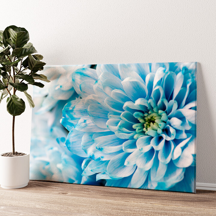Leinwandbild personalisiert Blaue Chrysantheme