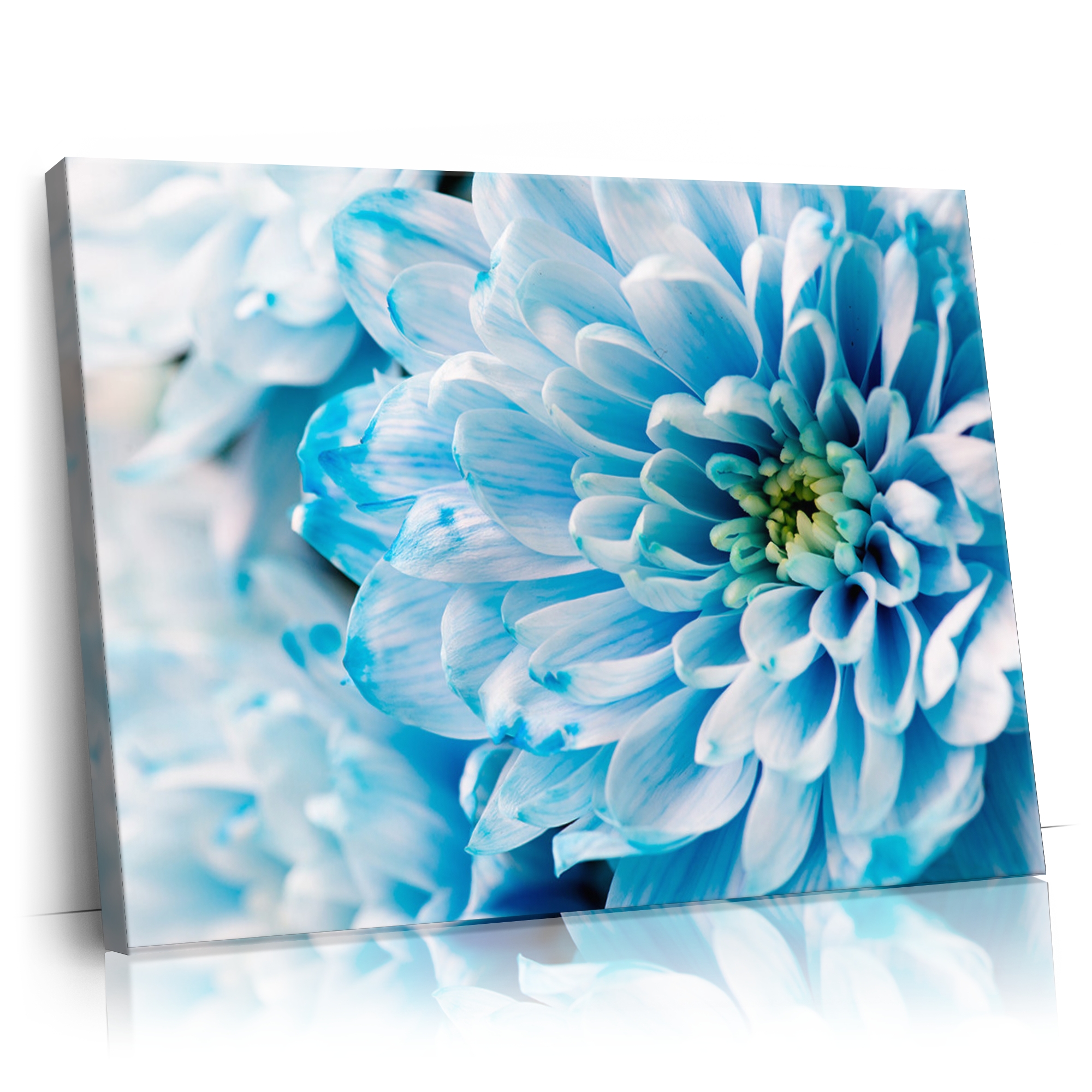 Personalisierbares Geschenk Blaue Chrysantheme
