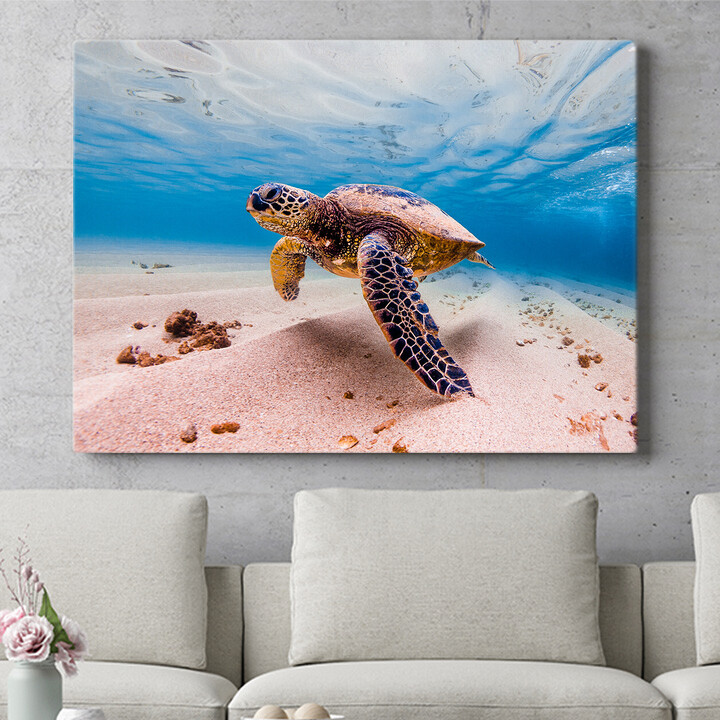 Personalisiertes Wandbild Schildkröte im Meer