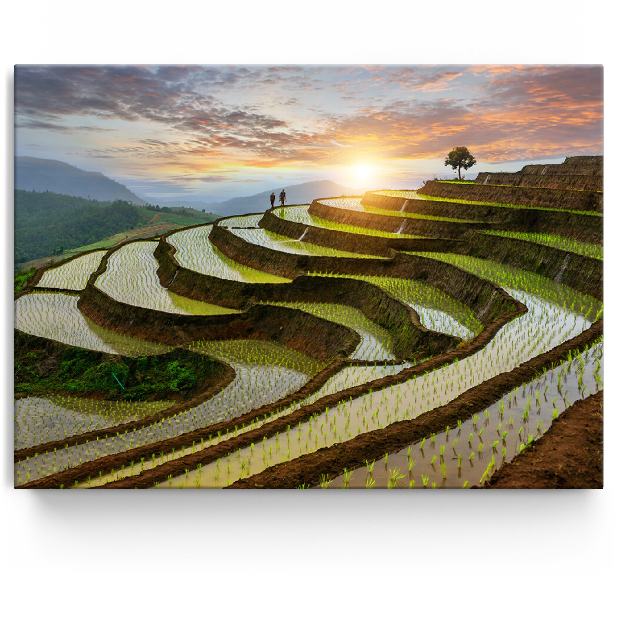 Personalisiertes Leinwandbild Reisfelder in Pa-Pong-Peang