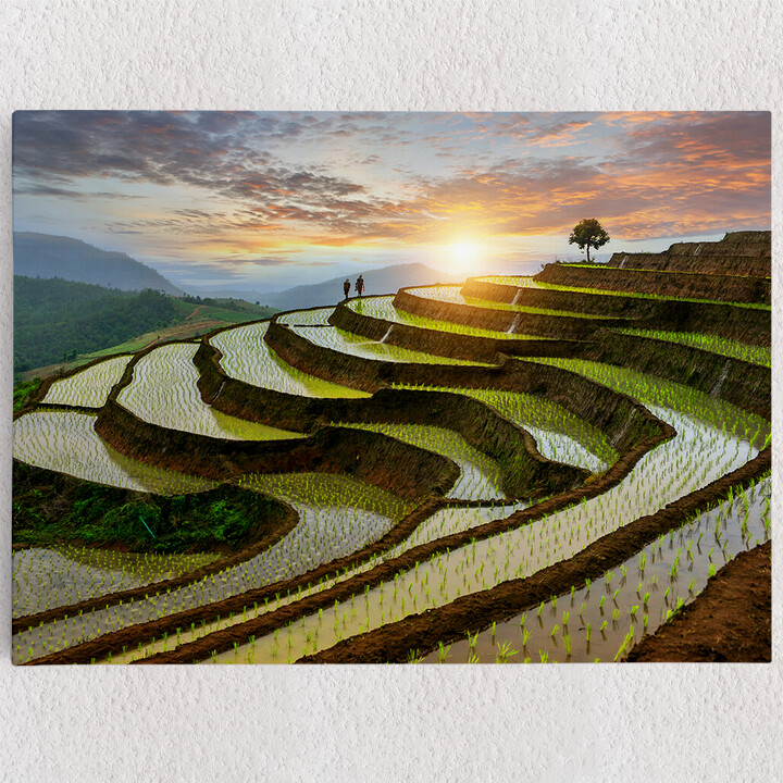 Personalisiertes Leinwandbild Reisfelder in Pa-Pong-Peang