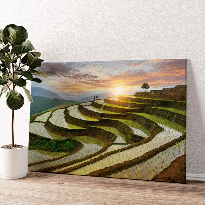 Leinwandbild personalisiert Reisfelder in Pa-Pong-Peang