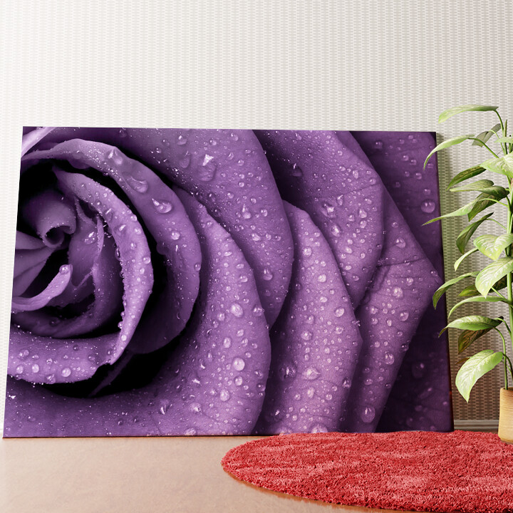 Rosenblätter mit Tropfen Wandbild personalisiert