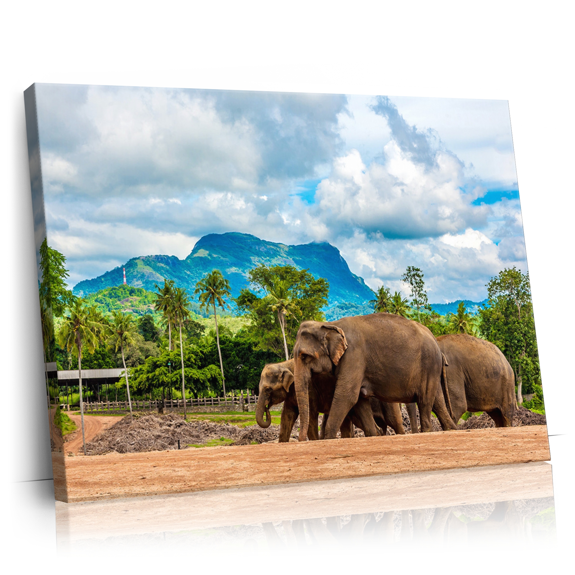 Personalisierbares Geschenk Elefanten in Sri Lanka