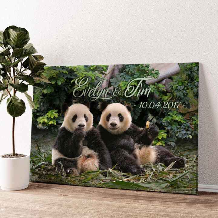 Leinwandbild personalisiert Pandabären