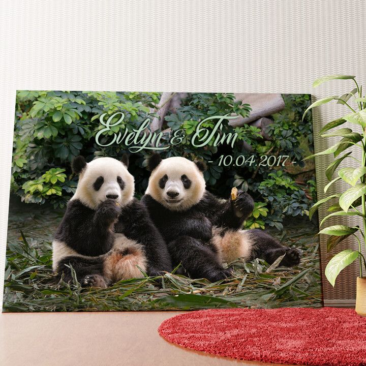 Pandabären Wandbild personalisiert