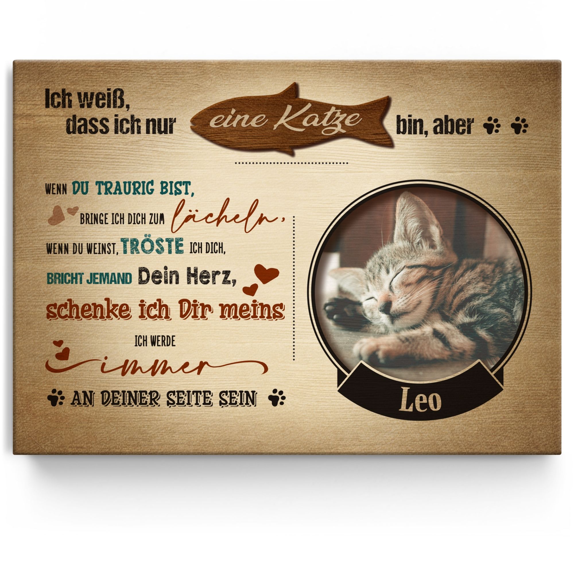 Nicht nur eine Katze